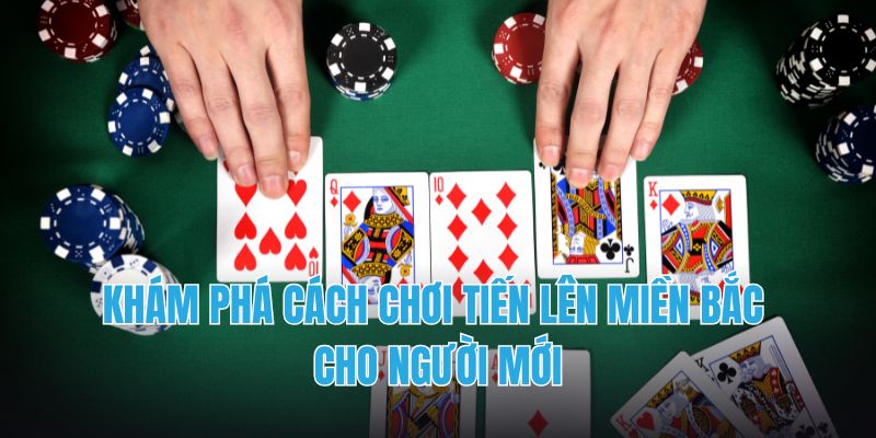 Khám phá cách chơi tiến lên miền Bắc cho người mới