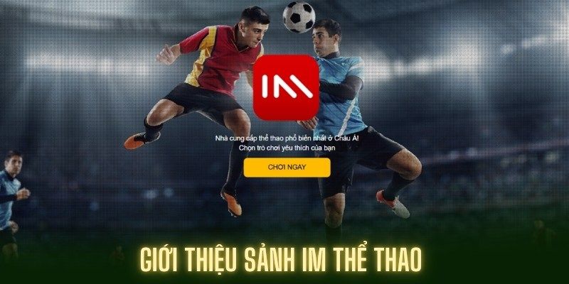 Tổng quan sảnh cá cược thể thao im BWING