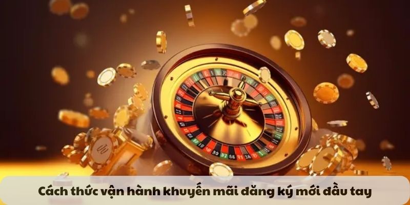 Cách thức vận hành khuyến mãi đăng ký mới đầu tay