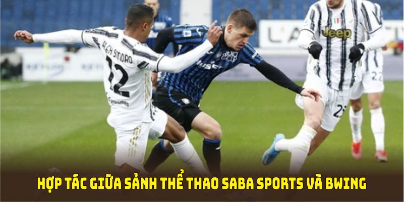 Những điều thú vị từ mối quan hệ hợp tác giữa sảnh thể thao Saba Sports và BWING
