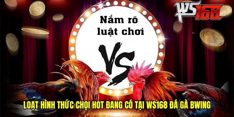 Loạt hình thức chọi hot đang có tại WS168 đá gà BWING